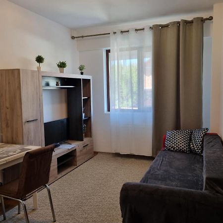 Ultracentral & Cozy, Palas Apt Ясси Екстер'єр фото