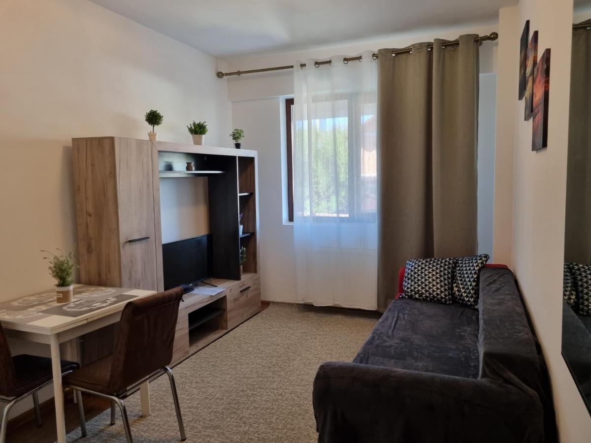 Ultracentral & Cozy, Palas Apt Ясси Екстер'єр фото