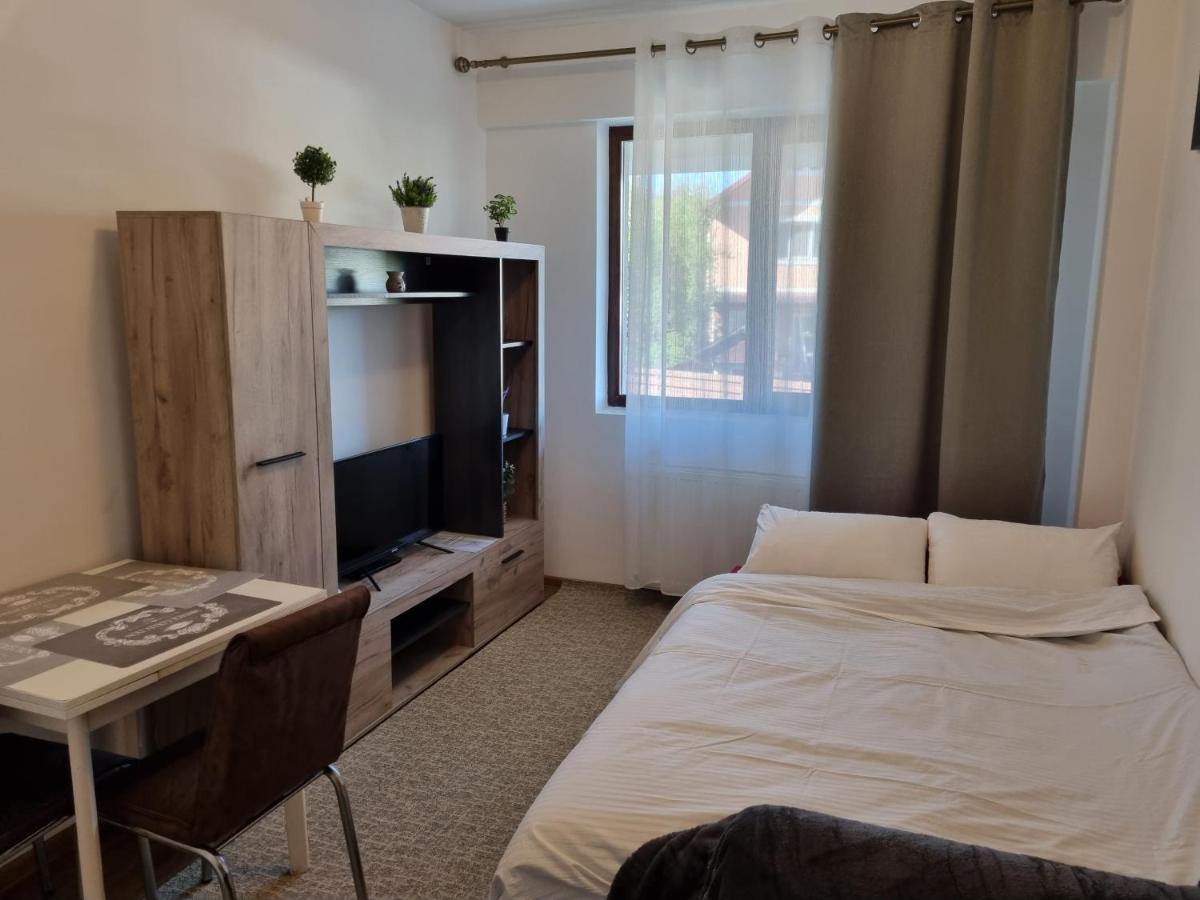 Ultracentral & Cozy, Palas Apt Ясси Екстер'єр фото