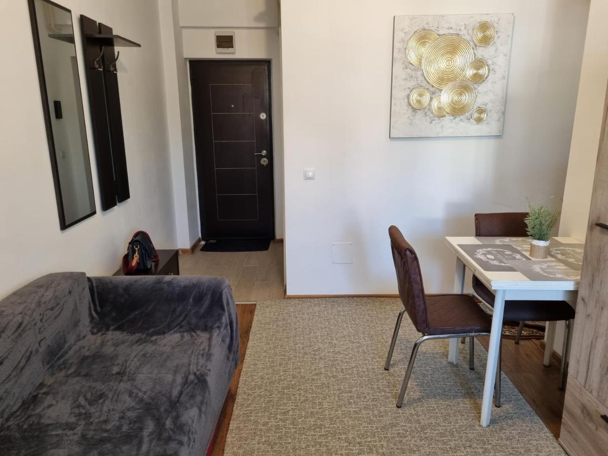 Ultracentral & Cozy, Palas Apt Ясси Екстер'єр фото
